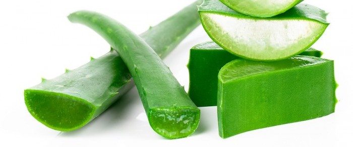 Aloe Vera to help heal wounds and burns.