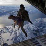 sas special forec paratrooper with dog