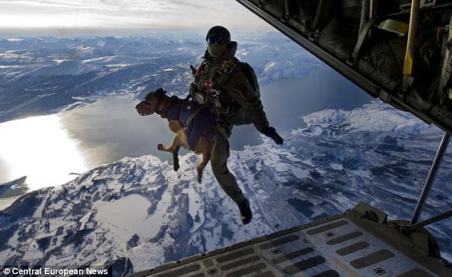 sas special forec paratrooper with dog