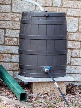 Rain Barrel