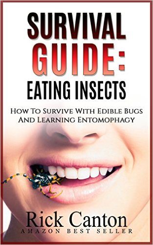 eating-insects-guide