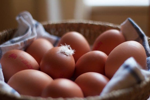 fresh eggs