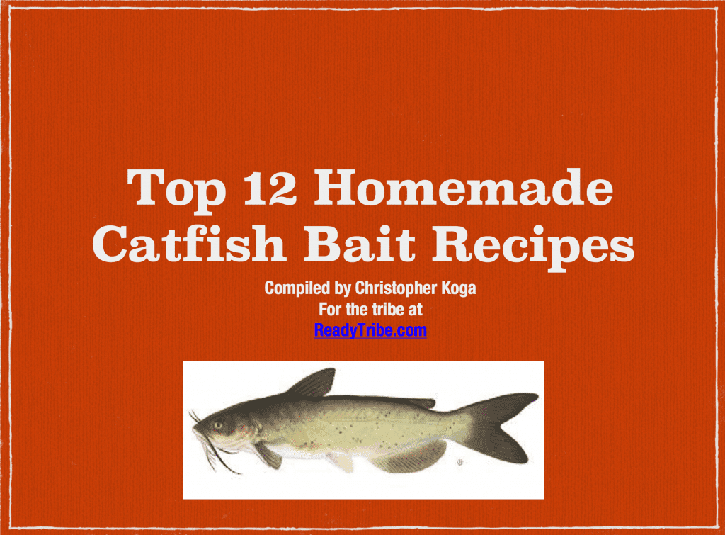 homemade catfish bait 